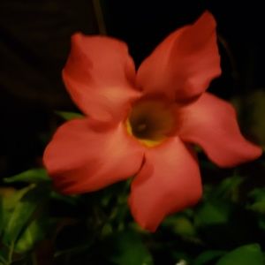 Meet your Posher, Teresa